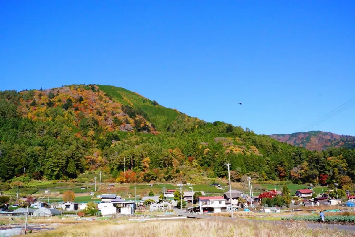 井川・西山平の紅葉の景色
